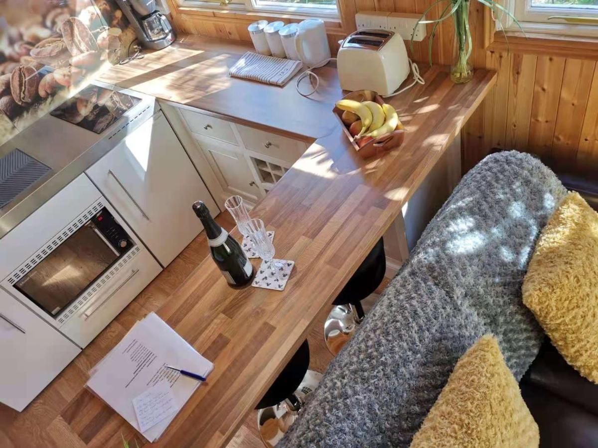 Villa Treeside Woodhouse Hawkshead Esterno foto