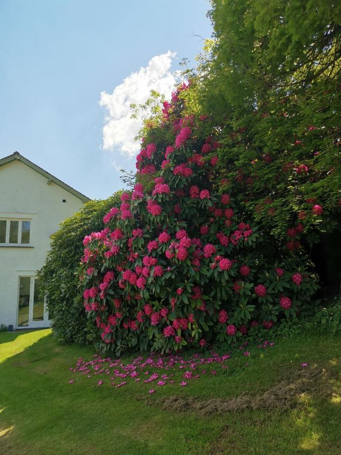 Villa Treeside Woodhouse Hawkshead Esterno foto