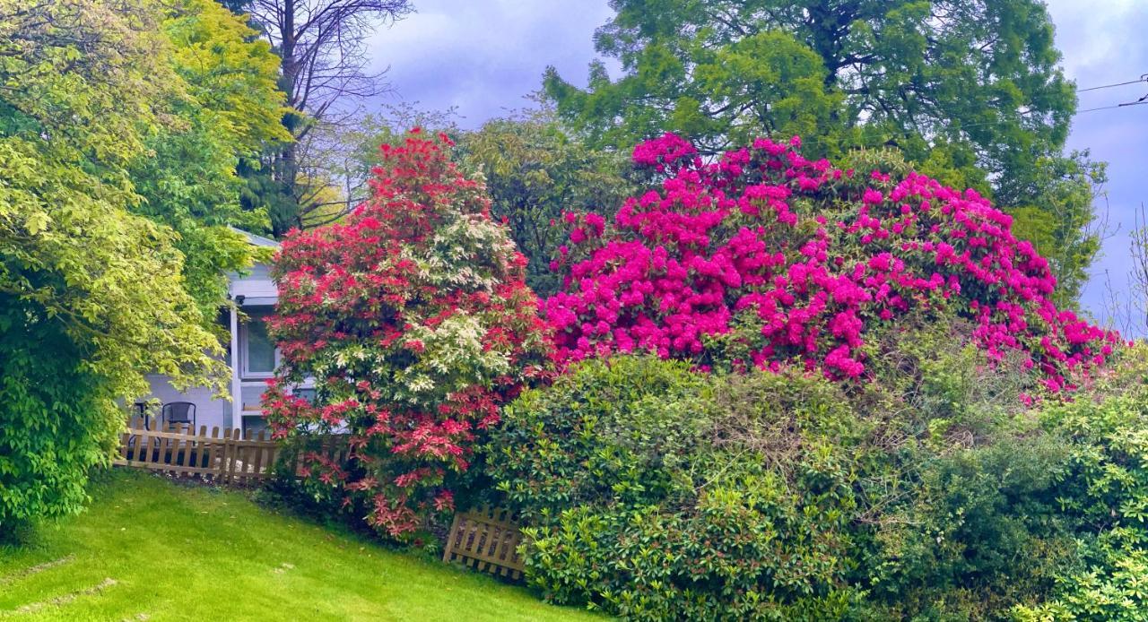 Villa Treeside Woodhouse Hawkshead Esterno foto