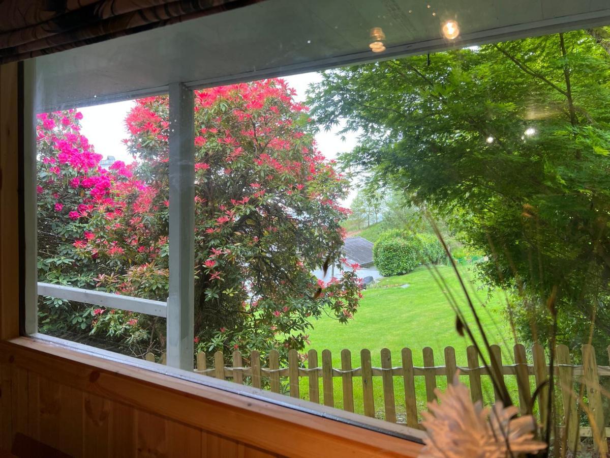 Villa Treeside Woodhouse Hawkshead Esterno foto