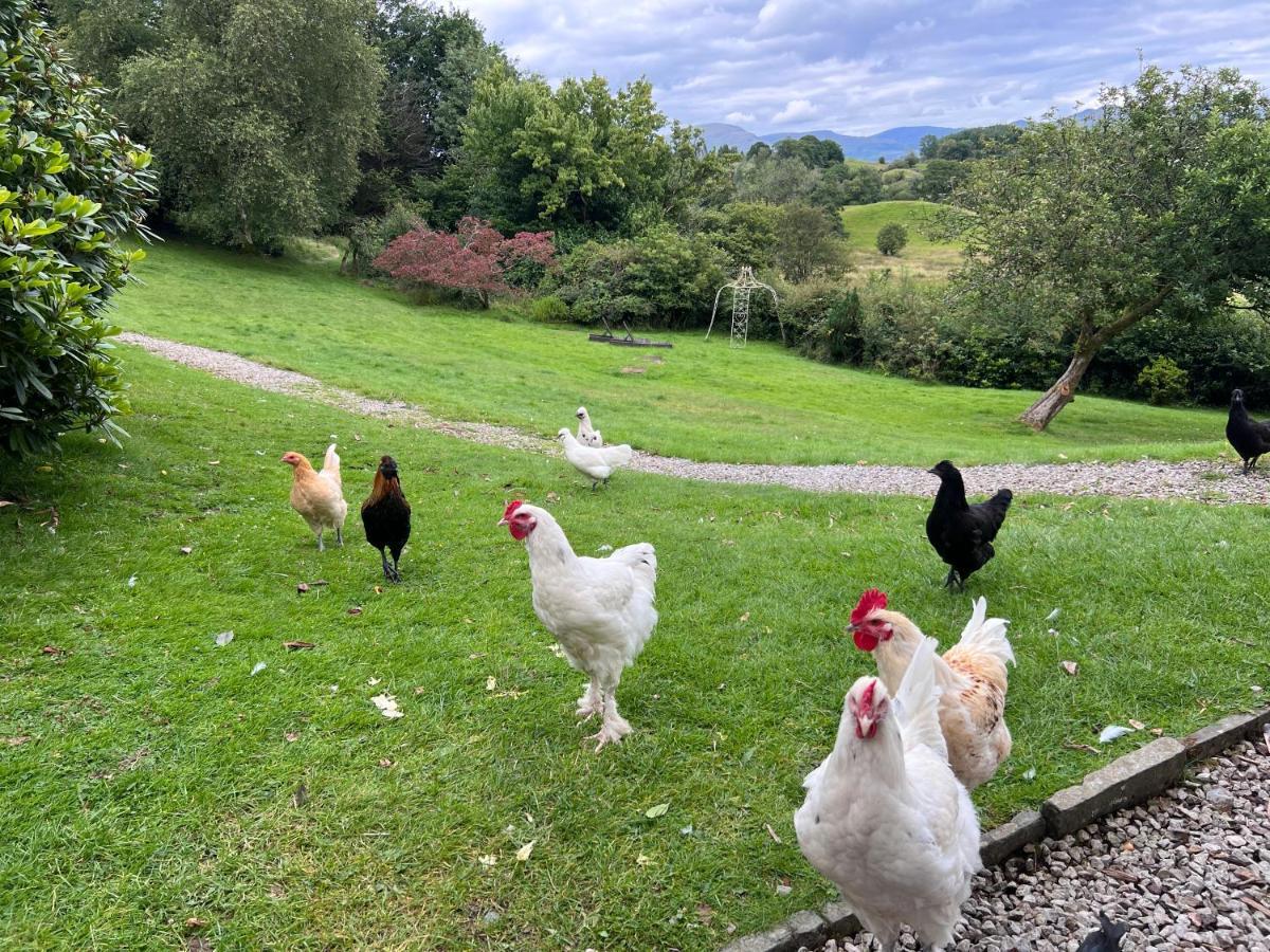 Villa Treeside Woodhouse Hawkshead Esterno foto