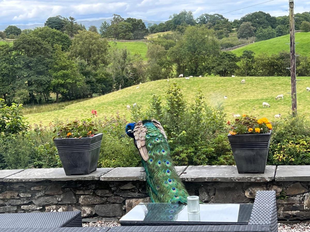 Villa Treeside Woodhouse Hawkshead Esterno foto